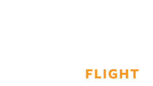 Infinite Flight Store